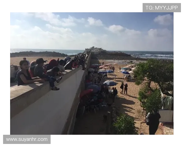 探索摩尔特里之美:揭开这座城市的历史与文化魅力 探索摩尔特里之美:揭开这座城市的历史与文化魅力