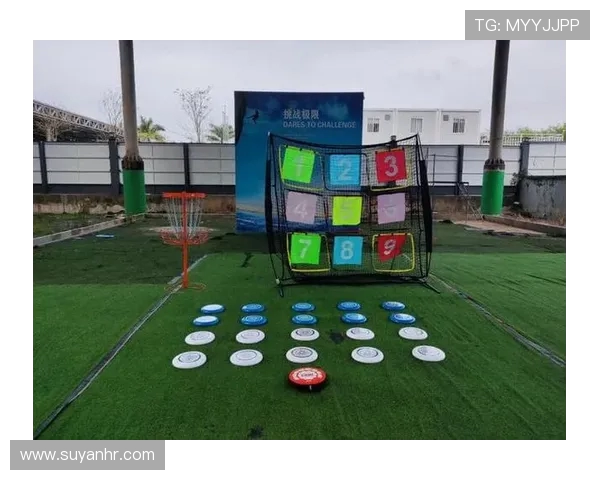 重庆飞盘队防守策略揭秘：如何在比赛中实现高效防守与反击