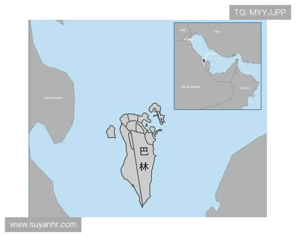 阿联酋与巴林最新对决分析及比赛前瞻全面解读