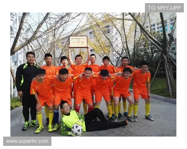 成都足球队荣登灵活性排行榜第二名引发热议