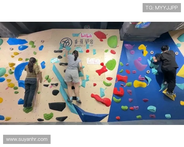 杭州攀岩队再创佳绩荣登全国攀岩配合排名新高峰