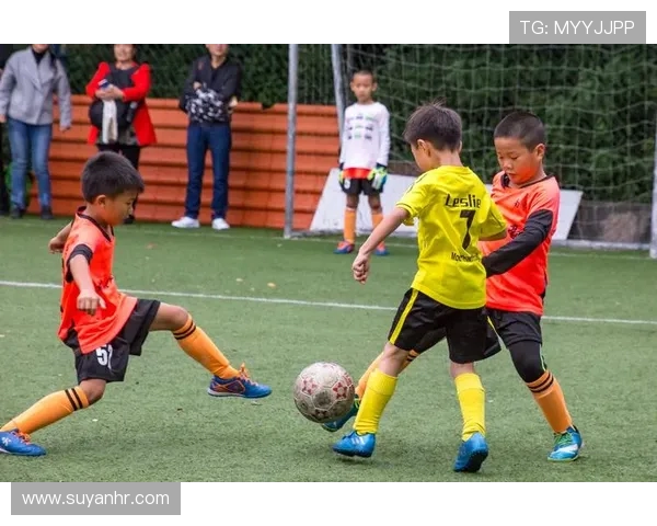 广州足球队转型之路的真实记录与背后故事探寻