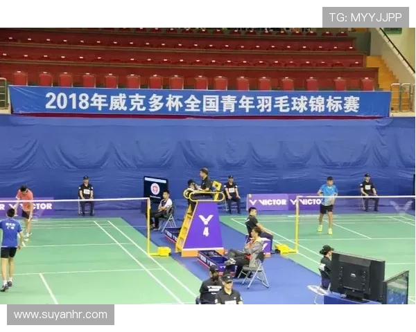 深圳羽毛球队在世界锦标赛中的默契配合与战术分析